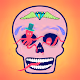 Beautiful dead head