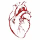 HeartBeat Tokens