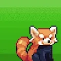 RaRed Pandas PX