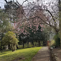 Sunny Spring Walk in Stoke-on-Trent - old - old