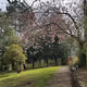 Sunny Spring Walk in Stoke-on-Trent - old - old