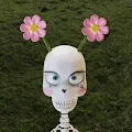 SkullGarden Collection