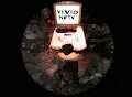 VIVID NFTV