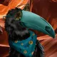 Travel Toucans