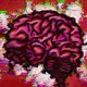 Mind of Max