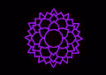 The Chakra Collection