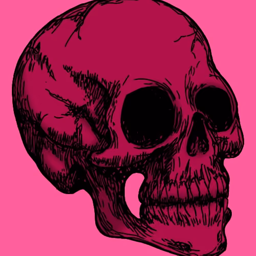 skull's colection
