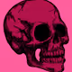 skull's colection