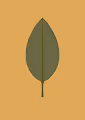 Minimal Leaf - old