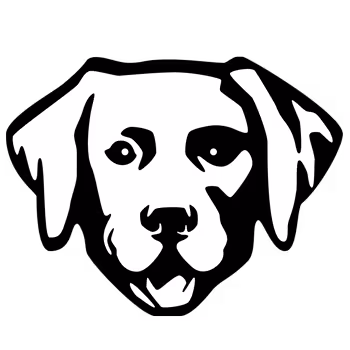 NFPets - Sparky by Daz 3D