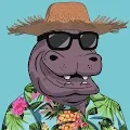 Hippos del Mar Beach Club