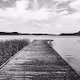 Masuria / Black and white photography