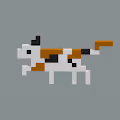 tiny cat universe - old