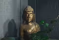 Mindful of Mindlessness V2