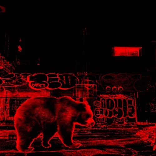 INVERSION OF NATURAL ORDER, BEAR