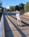 smilinglllama - old