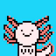 Stray Axolotls