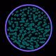 CryptoMoon ETH