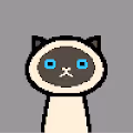 catxel