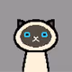 catxel