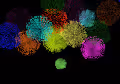 Digital Fireworks