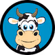 CryptoCows