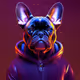 Frenchie 'Hoodies'