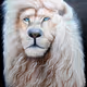 White Lion