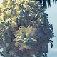 Moments - CZe10j9kQZ
