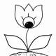Tulips Collection 2022