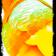 Alihrium