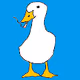 Poorly Drawn Fowl