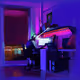 Li Boar's Saturated Explorations