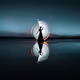 Night Reflection 1.10 by Eric Paré & Kim Henry