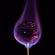 Burning beauty