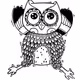 Owl Doodle