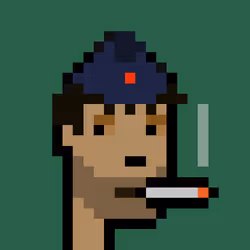 项目媒体占位符