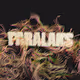 PARALAKS