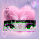 Crypto Queen 314