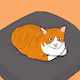 None whisker cat