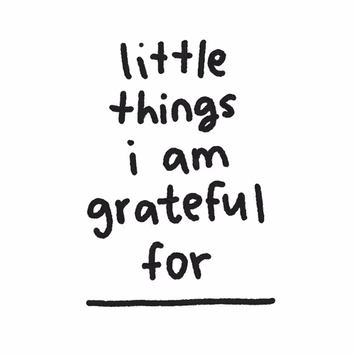 little things i am grateful for