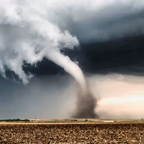 WhirlwindbyDopplerJess