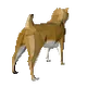 Wagumi MoonDoges