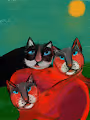 My kittens