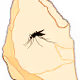 Ether Amber