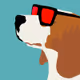 Dogs, Man's Best Friend