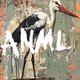 ANML