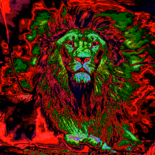 lion-lion - old V2