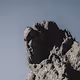 Landscapes - Remarkable Collection