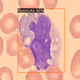 MicroscopyNFT